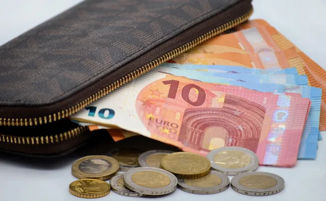 money, wallet, inflation, banknotes, euro, currency, cashbox, finance, medium, cash, cost, inflation rate, price increase, rising costs, cent, seem, coin money, coins, pay, inflation, inflation, inflation, inflation, inflation. Prenumeration eller evig licens: så räknar du programvarukostnader